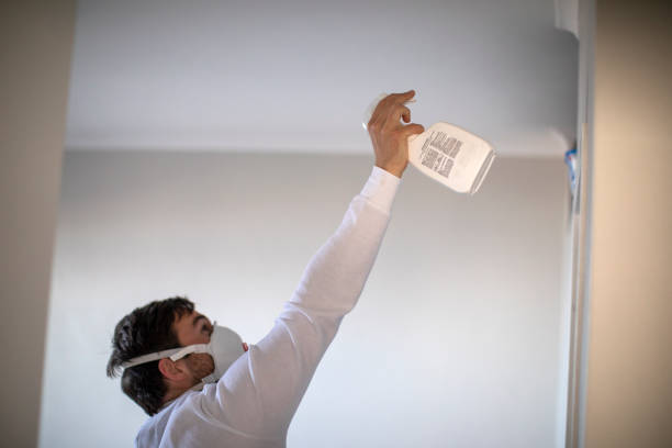 Best Mold Damage Repair  in Clearwater, MN
