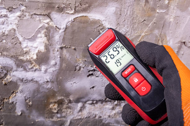 Best Certified Mold Removal  in Clearwater, MN