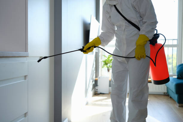Home Mold Removal in Clearwater, MN